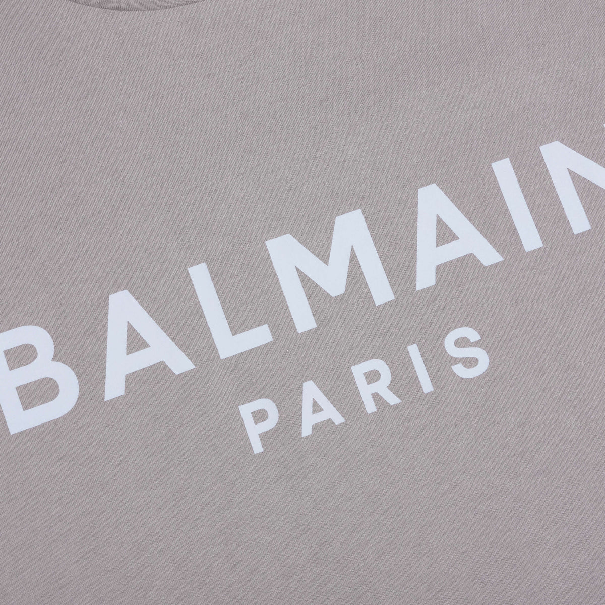 Printed T-Shirt - Gris Fonce/Bleu Clair