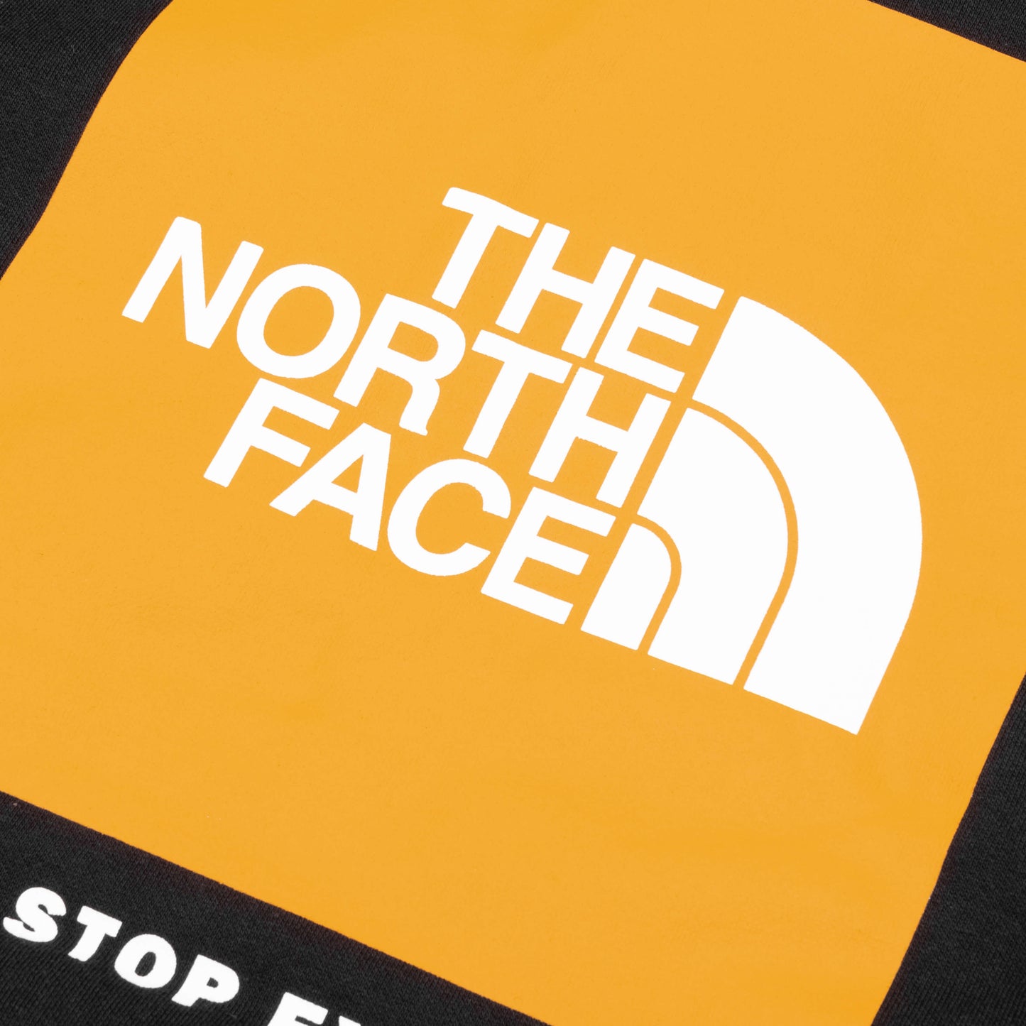 Box NSE Pullover Hoodie - TNF Black/Summit