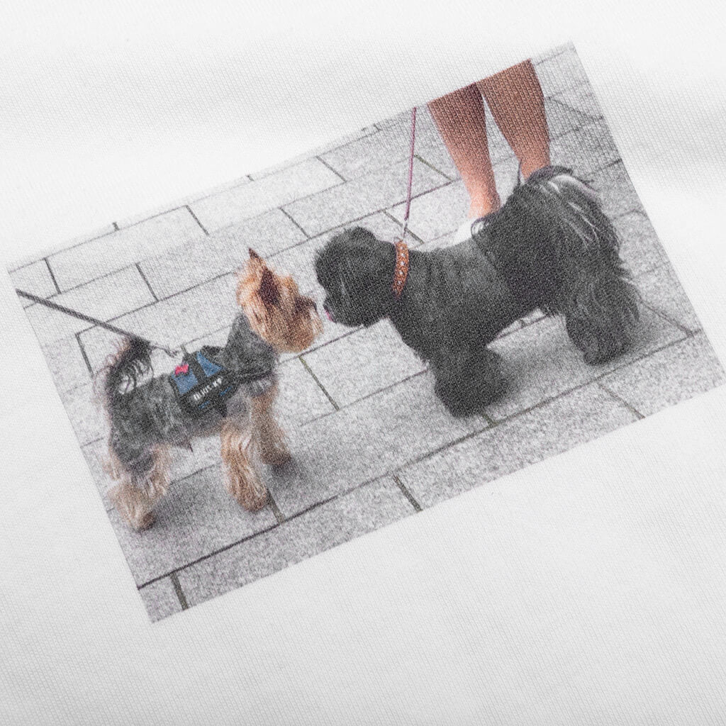 Dogs of Paris Tee - White