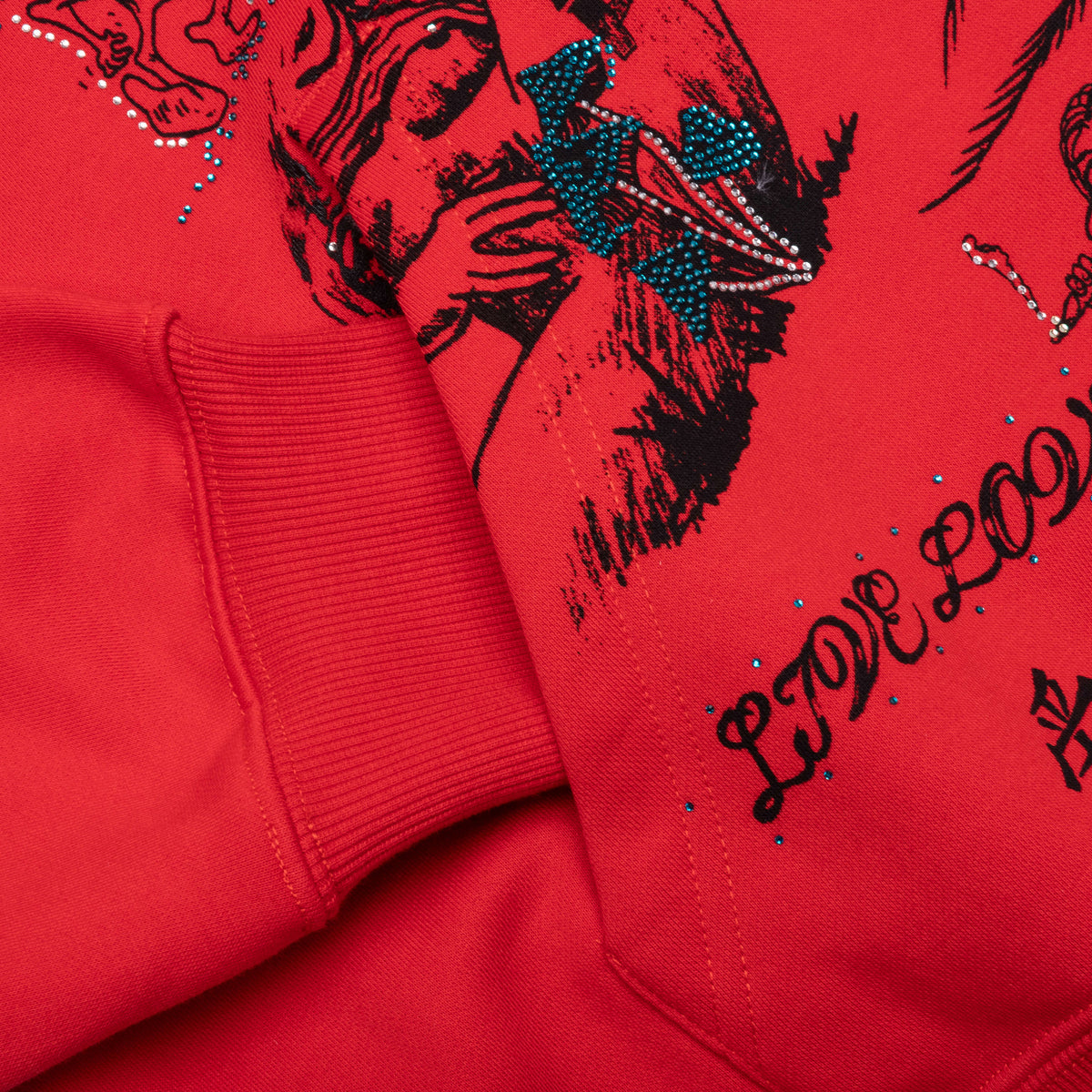 Find Truth Hoodie - Red