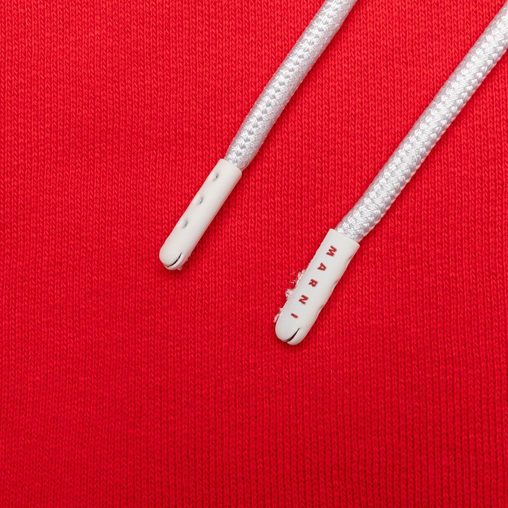 Sweatshirt - Lacquer